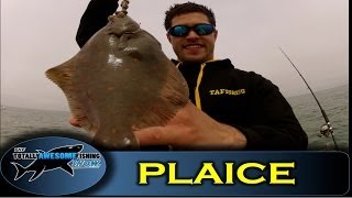 Plaice hopping off Bognor  Totally Awesome Fishing [upl. by Netsreik616]