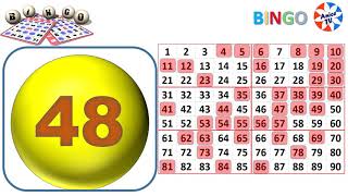 90Ball  Bingo Caller Game1 New [upl. by Acsisnarf60]