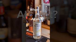 What is Akvavit akvavit aquavit spiritseducation sweden scandinavia [upl. by Oderfodog]