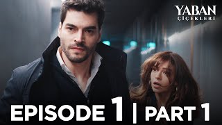 Yaban Çiçekleri Episode 1  Part 1 Subtitled in English YabanCicekleriEnglish [upl. by Wood]