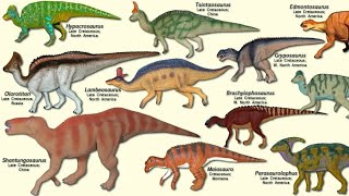 Hadrosaurs “Duck Billed” Dinosaurs [upl. by Talanta]