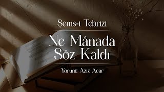 Şemsi Tebrizi  Ne Manada Söz Kaldı [upl. by Valdas164]