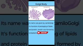 Golgi Apparatus  Golgi body  cell  cell theory  short video [upl. by Gayelord591]