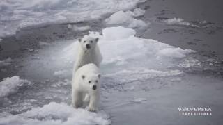 Silversea Expeditions  Insight Into the Arctic [upl. by Aixela]