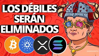 ✅NO ENTRES EN PÁNICO😱Noticias Criptomonedas HOYBitcoin Cardano Solana ETH XRP SHIB LINK AVAX [upl. by Glover]