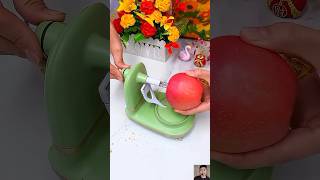 Amazing fruits cutting small gadgets shorts gadgets shortvideos [upl. by Ahtnammas858]