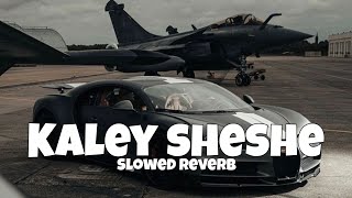 Kaley Sheshe  Addy Nagar  Slowed Reverb [upl. by Adnwahsal]