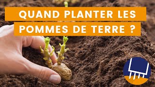 Quand planter les pommes de terre  Les astuces en fonction de votre région [upl. by Ollayos214]