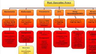 Surgery Algorithm PostOperative fever [upl. by Nywrad]