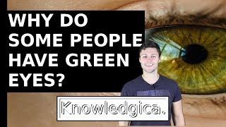 Why Do Some People Have Green Eyes [upl. by Larner]