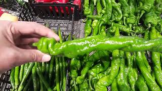 Longest chilipepper [upl. by Elicul]