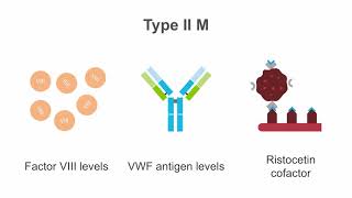 Interpreting tests for von Willebrand disease VWD [upl. by Hackney]