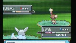 Shiny EEVEE evolutions 2nd EDITION plus my platinum shinys FULLY LEGIT [upl. by Bouldon585]