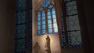 Notre Dame taking my breath away at the reopening ceremony tonight notredame france visitfrance [upl. by Llednav]