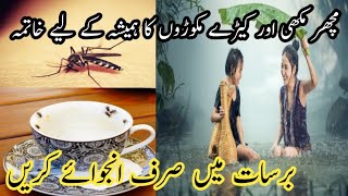 how to get rid of fly and mosquito in rainy daysremedy for fly and mosquitoinscetsflymosqutos [upl. by Wiese]