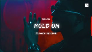 Hold on Slowed and Reverb  Tegi Pannu  Punjabi Song [upl. by Rehpinnej]