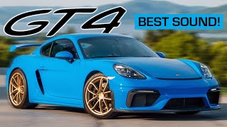 BEST SOUNDING PORSCHE GT4 Valvetronic Designs Exhaust  Over Axle Pipes [upl. by Naujahs]