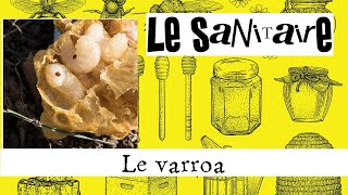 Le sanitaire en apiculture 02  Le varroa [upl. by Niak]