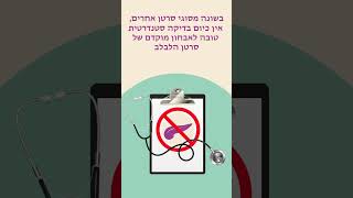 2024 WPCD Cancer Screening  Hebrew [upl. by Smiley226]