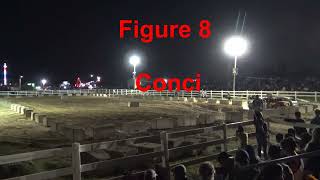 Figure 8 heats and finals at the fall fair Brampton Ontario 2024 [upl. by Haduhey541]