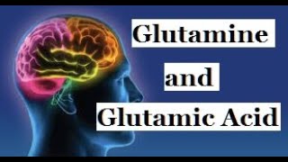 GLUTAMINE AND GLUTAMIC ACID DOES [upl. by Einnus]