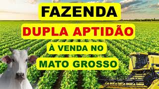 Fazenda à Venda DUPLA APTIDÃO no Mato Grosso fazendaavenda fazendaavendanomatogrosso fazenda [upl. by Loos]