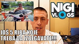 Još 5 Riba Koje Bi Ste Trebali Izbegavati U Početničkom Akvarijumu NigiVlogs [upl. by Normy]