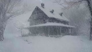 Lonely Mountain House During a Snowstorm  Snow storm sounds while sleeping  Howling wind [upl. by Duntson676]