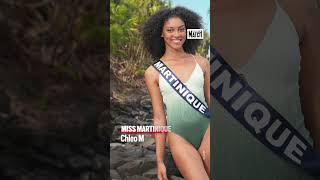 Miss France 2024  les portraits des Miss en maillot [upl. by Alleoj]