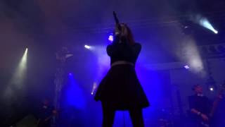 Dandelion Revenge  Are you ready  Live at BiberttalFestival 24052015 [upl. by Meluhs717]