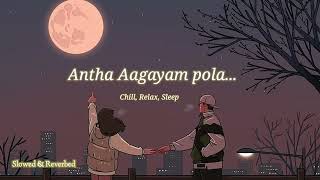 Antha Aagayam polake 🤍 Lofi edit slowed amp reverbedChillRelax Sleep [upl. by Athalee]