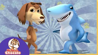 BAILA JUNTO AL PERRO CHOCOLO 🐾 Y EL TIBURÓN 🦈  CANCIONES INFANTILES [upl. by Naihtniroc]