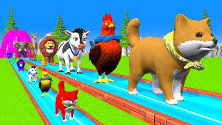 Paint amp Animals CowGorrilaDuckLionDogElephant Fountain Crossing Transformation Animals Cartoon [upl. by Lekim]