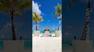 Discover The Beaches of Maldives  Stunning Paradise [upl. by Connel]