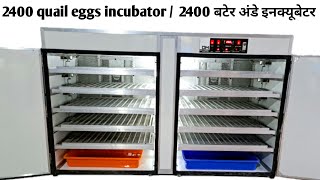 2400 Quail Egg Incubator from Dellmarc quaileggs chicken incubator [upl. by Nomra]