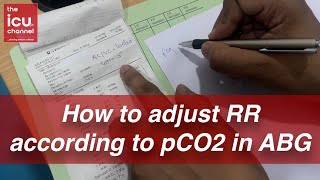 How to adjust Respiratory Rate RR according to pCO2 levels in ABG [upl. by Euqitsym496]