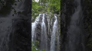 Boyana Waterfall waterfall vitosha bulgaria [upl. by Akeryt]