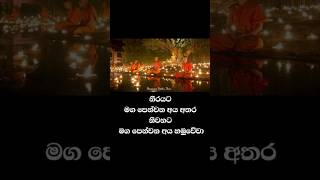 ධර්මදානයක්වේවා truth dhamma dhammatalk buddha love nirwana buddhism motivation nibbana [upl. by Kwang389]