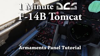 1 Minute DCS  F14B Tomcat  Armaments Panel Tutorial [upl. by Llerrud]