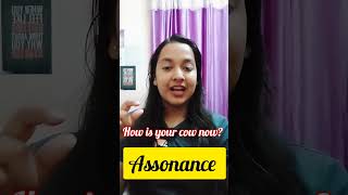 Assonance  Figure of Speech For UGC NETPGT TGT KVS NVS Dsssb SET English  ugcnet english [upl. by Anilyx]