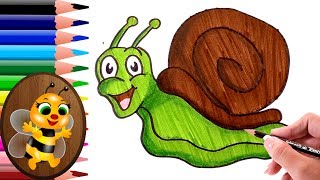 dibujando y pintando un caracol feliz  Dibujos para Niños  How to draw and paint [upl. by Horan]