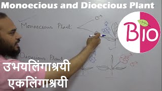 Difference in Monoecious and Dioecious Plants उभयलिंगाश्रयी एकलिंगाश्रयी by Simply The Best BIO [upl. by Aubrey29]