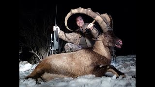 Bezoar Ibex Hunting in Turkey  Kemal Burak DURANERRecp Ecer [upl. by Erastatus]