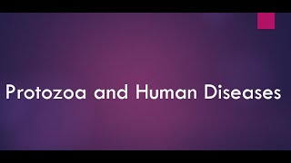 Protozoa and Human Diseases Diseases caused by Protozoa in humans [upl. by Ytinirt415]