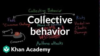 Aspects of Collective Behavior Fads Mass Hysteria and Riots  Behavior  MCAT  Khan Academy [upl. by Uchish]