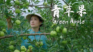 Green apple the taste of childhood—tangy sweet refreshing with a crisp and juicy bite【滇西小哥】 [upl. by Rehtaeh]