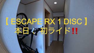 【GIANT ESCAPE RX1 DISC First Ride】 初乗り‼️ [upl. by Emyle905]