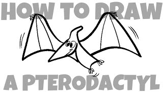 How to Draw a Pterodactyl [upl. by Notlaw46]