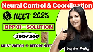 NEET MCQ for Neural Control amp coordination  Class 11 Biology  NEET 2025  Samapati Mam Yakeen 20 [upl. by Ner]