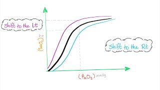 Oxygen Hemoglobin Dissociation Curve with a mnemonic [upl. by Adnuhsor]